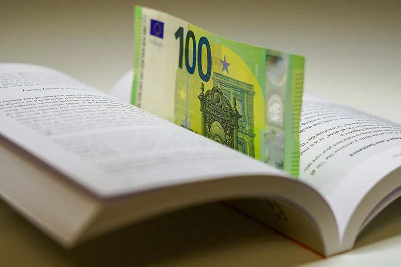 Ein 100-Euro-Schein steht aufrecht in einem aufgeklappten Taschenbuch.